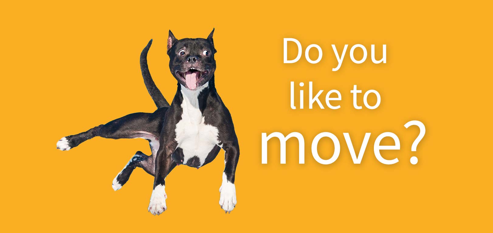 Do you Like to move it?