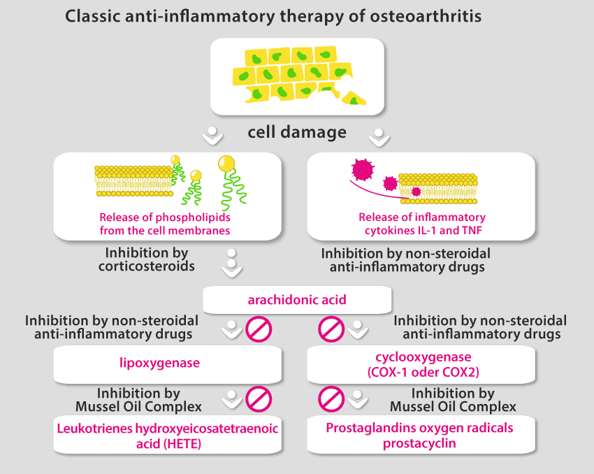 Grafik der Schmerztherapie