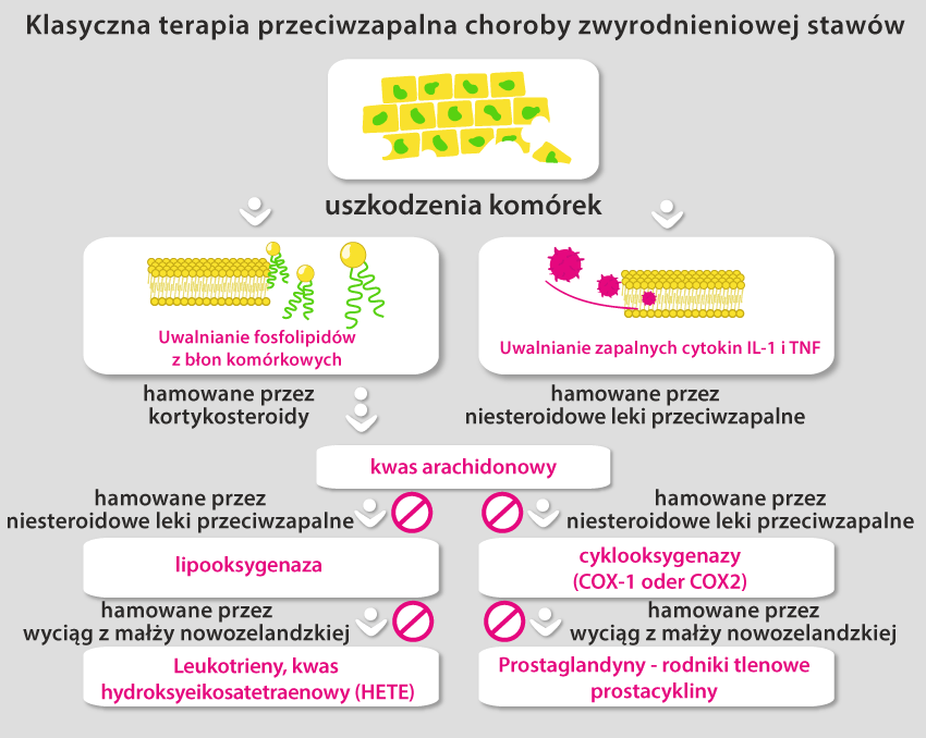 Grafika terapii bólu